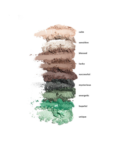 Палитра теней INGLOT PLAYINN CLOUD NO. NINE GREEN